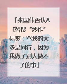 张国伟否认AI智搜“炒作”标签：骂我的大多是同行，因为我做了别人做不了的事