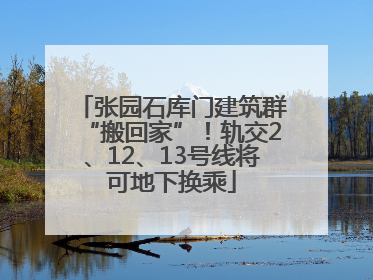 张园石库门建筑群“搬回家”！轨交2、12、13号线将可地下换乘