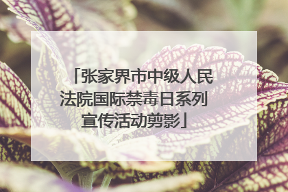 张家界市中级人民法院国际禁毒日系列宣传活动剪影