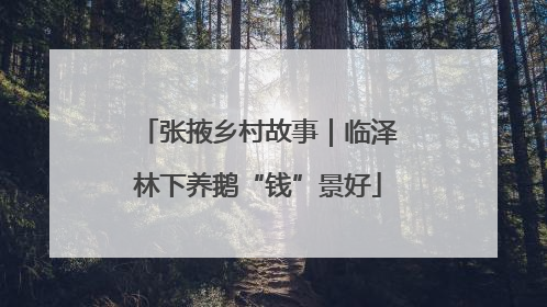 张掖乡村故事｜临泽林下养鹅“钱”景好