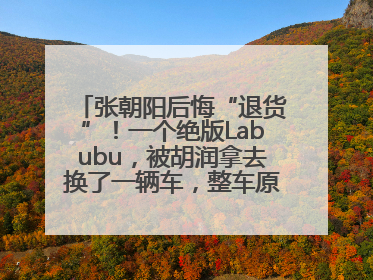 张朝阳后悔“退货”！一个绝版Labubu，被胡润拿去换了一辆车，整车原价值上百万元