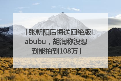 张朝阳后悔送回绝版Labubu，胡润称没想到能拍到108万