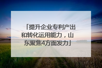 提升企业专利产出和转化运用能力，山东聚焦4方面发力