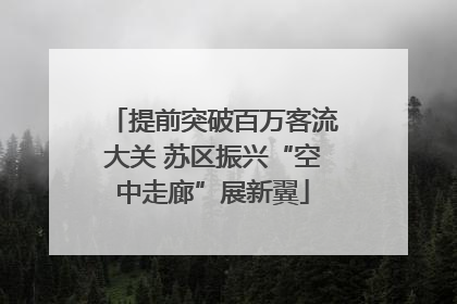 提前突破百万客流大关 苏区振兴“空中走廊”展新翼
