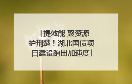 提效能 聚资源 护荆楚！湖北国债项目建设跑出加速度
