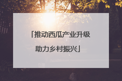推动西瓜产业升级 助力乡村振兴