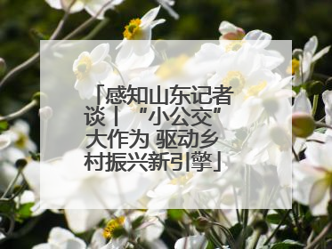 感知山东记者谈丨“小公交”大作为 驱动乡村振兴新引擎