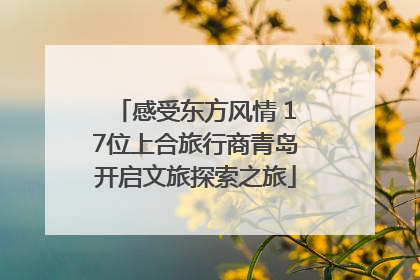 感受东方风情 17位上合旅行商青岛开启文旅探索之旅