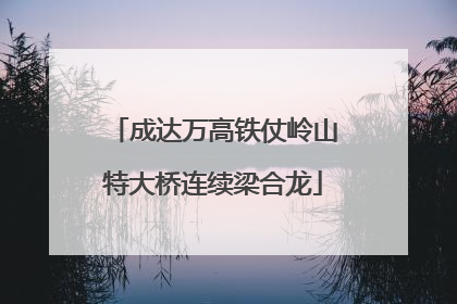 成达万高铁仗岭山特大桥连续梁合龙