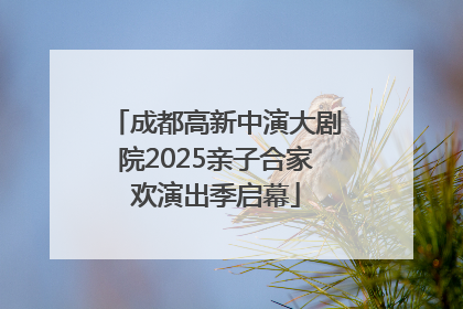 成都高新中演大剧院2025亲子合家欢演出季启幕