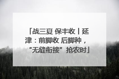 战三夏 保丰收丨延津：前脚收 后脚种，“无缝衔接”抢农时