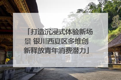 打造沉浸式体验新场景 银川西夏区多维创新释放青年消费潜力