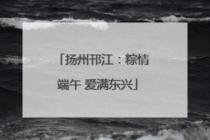 扬州邗江：粽情端午 爱满东兴