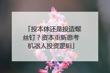 投本体还是投造螺丝钉？资本重新思考机器人投资逻辑