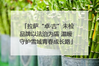 拉萨“卓·吉”未检品牌以法治为盾 温暖守护雪域青春成长路