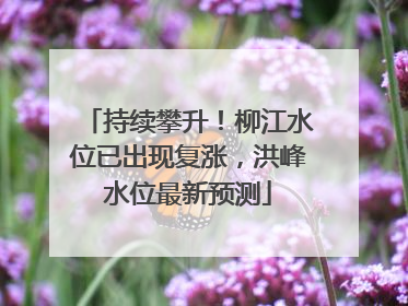 持续攀升！柳江水位已出现复涨，洪峰水位最新预测