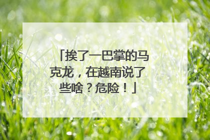 挨了一巴掌的马克龙，在越南说了些啥？危险！