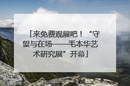来免费观展吧！“守望与在场——毛本华艺术研究展”开幕