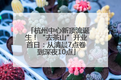 杭州中心新顶流诞生！“去茶山”开业首日：从清晨7点卷到深夜10点
