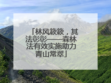 林风簌簌，其法彰彰——森林法有效实施助力青山常翠