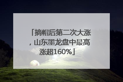 摘帽后第二次大涨，山东墨龙盘中最高涨超160%