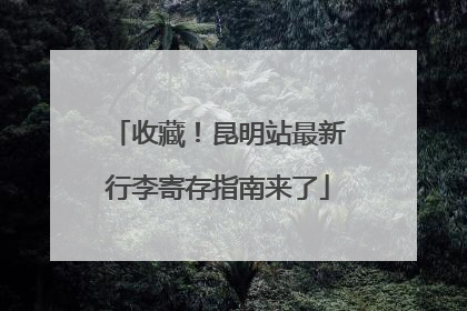 收藏！昆明站最新行李寄存指南来了