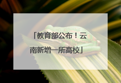 教育部公布！云南新增一所高校