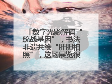 数字光影解码“统战基因”，书法非遗共绘“肝胆相照”，这场展览很有创意！