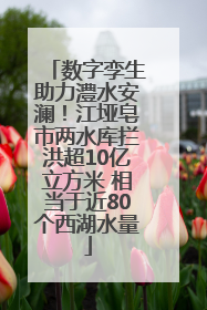 数字孪生助力澧水安澜！江垭皂市两水库拦洪超10亿立方米 相当于近80个西湖水量