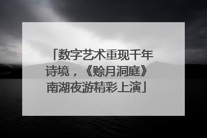 数字艺术重现千年诗境，《赊月洞庭》南湖夜游精彩上演