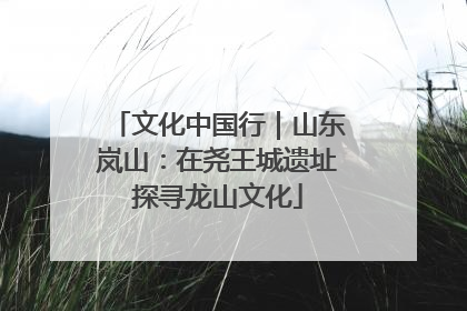文化中国行｜山东岚山：在尧王城遗址探寻龙山文化