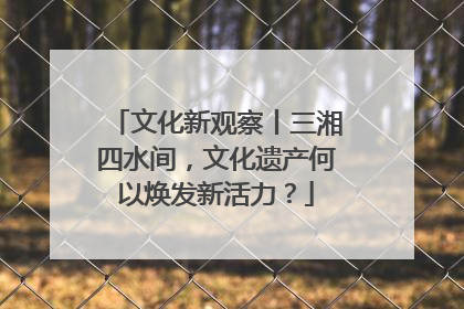 文化新观察丨三湘四水间，文化遗产何以焕发新活力？