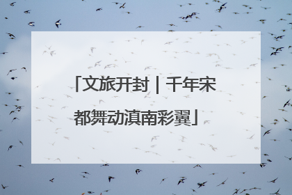 文旅开封｜千年宋都舞动滇南彩翼