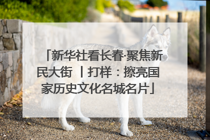 新华社看长春·聚焦新民大街 丨打样：擦亮国家历史文化名城名片