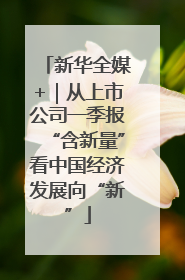 新华全媒+｜从上市公司一季报“含新量”看中国经济发展向“新”