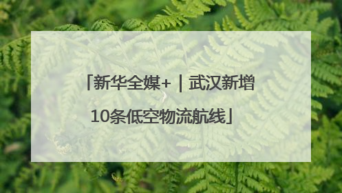 新华全媒+｜武汉新增10条低空物流航线