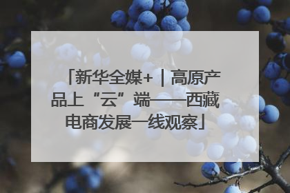 新华全媒+｜高原产品上“云”端——西藏电商发展一线观察