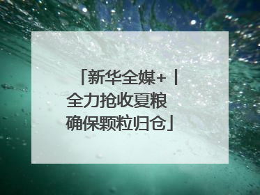 新华全媒+丨全力抢收夏粮 确保颗粒归仓