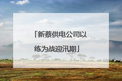 新蔡供电公司以练为战迎汛期
