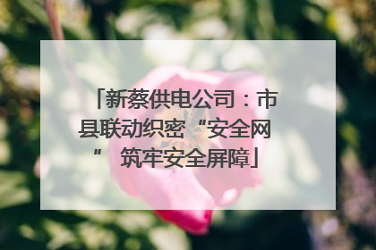 新蔡供电公司：市县联动织密“安全网” 筑牢安全屏障