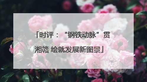 时评：“钢铁动脉”贯湘赣 绘就发展新图景