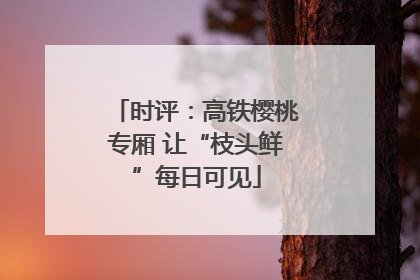 时评：高铁樱桃专厢 让“枝头鲜”每日可见