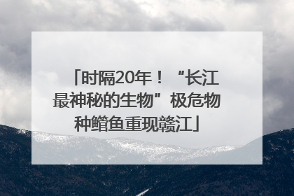 时隔20年！“长江最神秘的生物”极危物种鳤鱼重现赣江