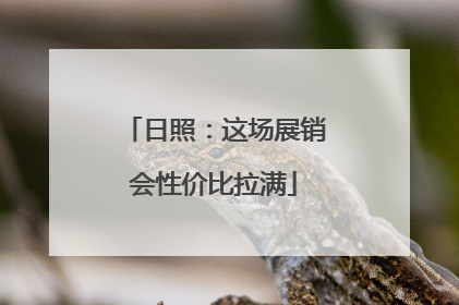 日照：这场展销会性价比拉满