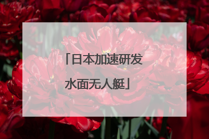 日本加速研发水面无人艇