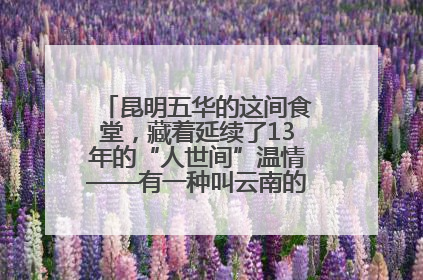 昆明五华的这间食堂，藏着延续了13年的“人世间”温情——有一种叫云南的生活之365天