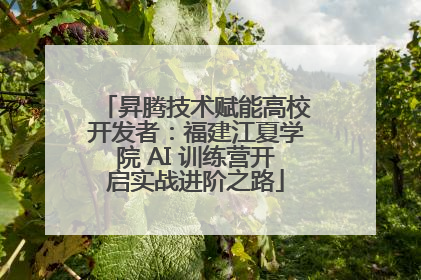 昇腾技术赋能高校开发者：福建江夏学院 AI 训练营开启实战进阶之路