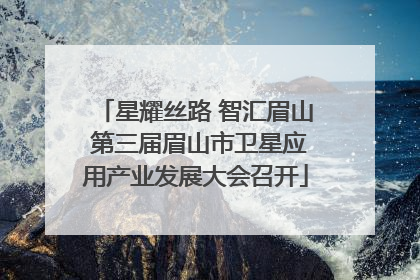 星耀丝路 智汇眉山 第三届眉山市卫星应用产业发展大会召开