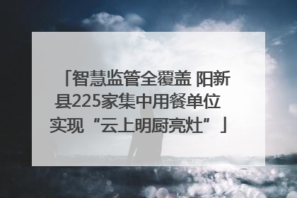 智慧监管全覆盖 阳新县225家集中用餐单位实现“云上明厨亮灶”