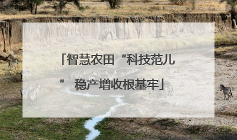 智慧农田“科技范儿” 稳产增收根基牢